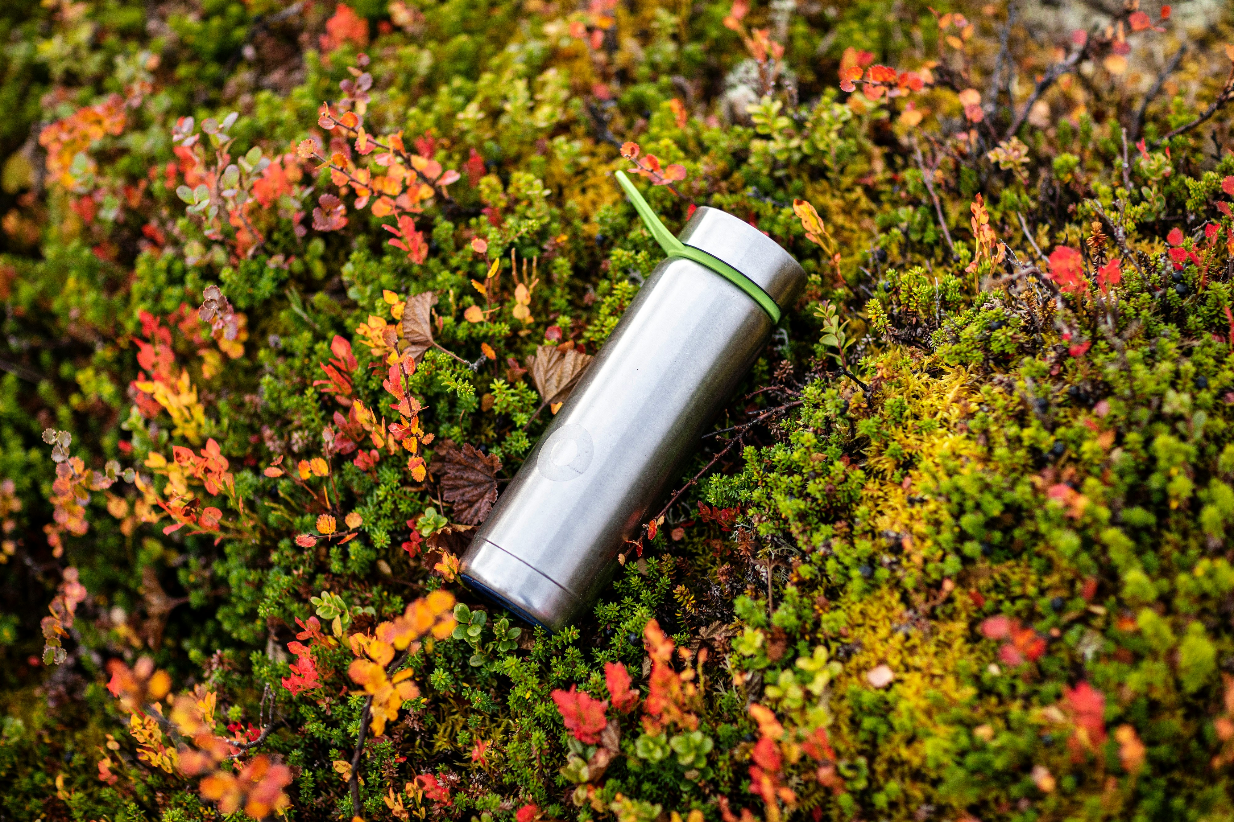 Applications of Biodegradable Batteries